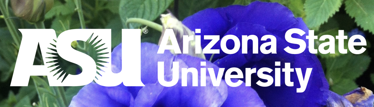 Clickable hyperlink for university portfolio